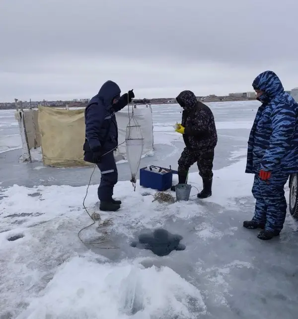На Балхаше изучают состояние рыбных запасов (2)