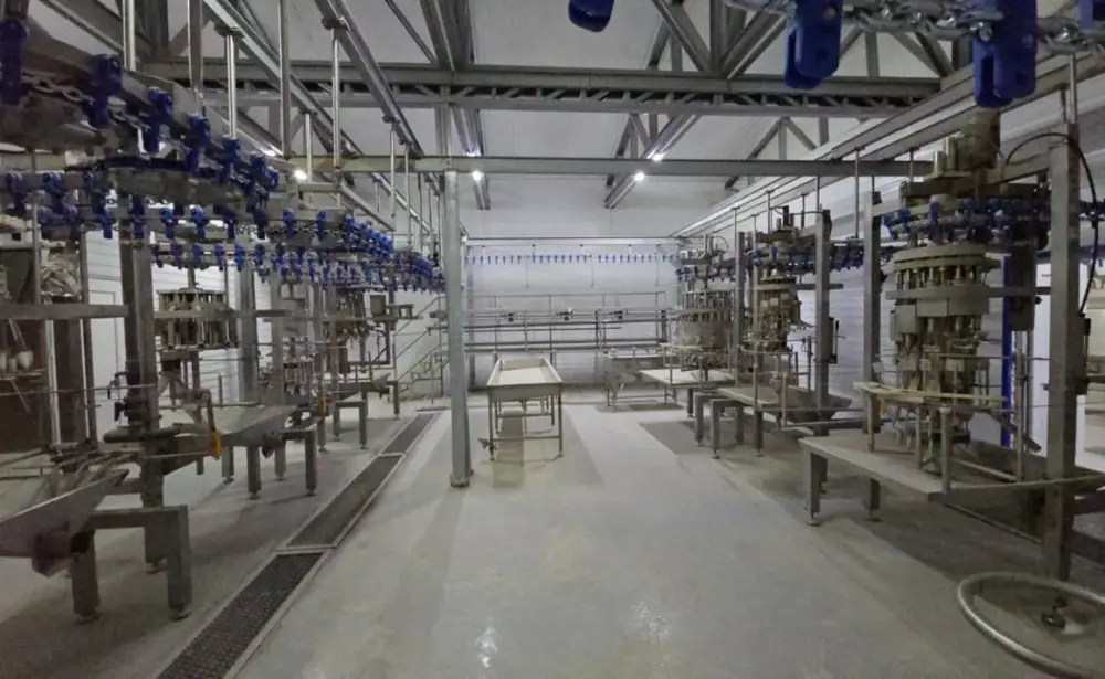 Птицефабрику мощностью 3,5 тыс. тонн в год запустят в Кызылординской области (5)