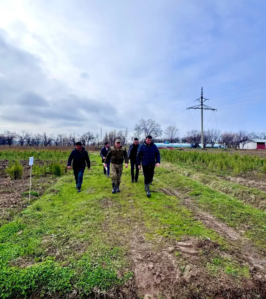 Туркестан: 35 миллионов саженцев на старте! {city2}