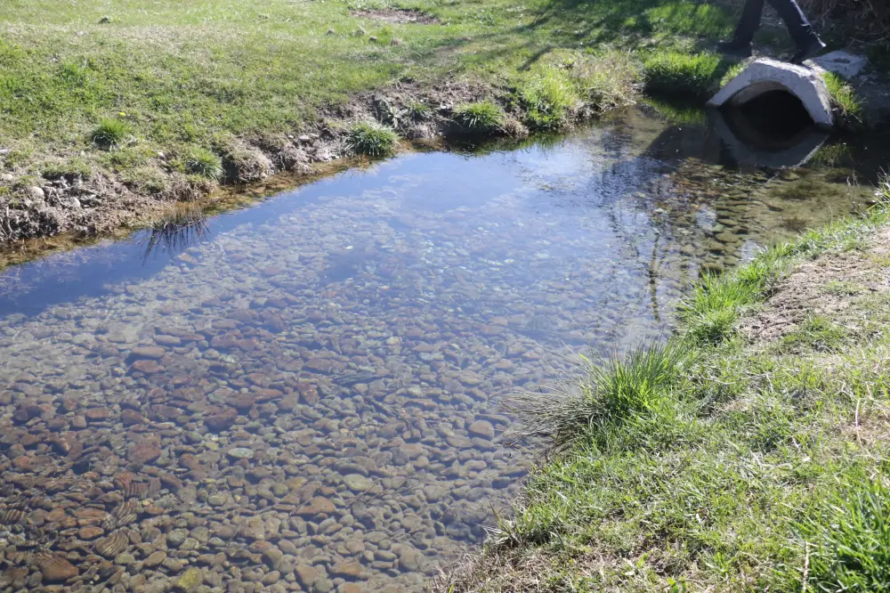 ТУРКЕСТАН: В ТЮЛЬКУБАССКОМ РАЙОНЕ В РАМКАХ АКЦИИ «МӨЛДІР БҰЛАҚ» РАСЧИЩЕНО БОЛЕЕ 40 РОДНИКОВ (6)