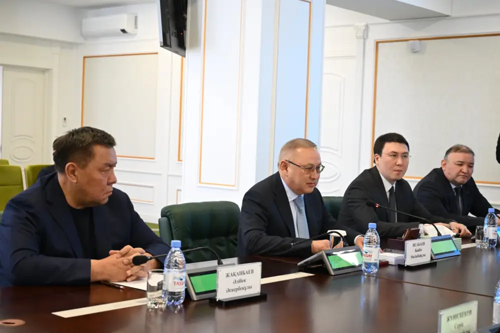 В Жетысу обсудили международные стандарты укрепления материально-технической базы ДЧС {city2}