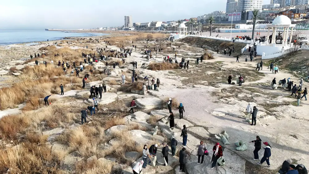 Более трёх тысяч участников приняли участие в субботнике по очистке территории и высадке деревьев в Мангистауской области {city2}