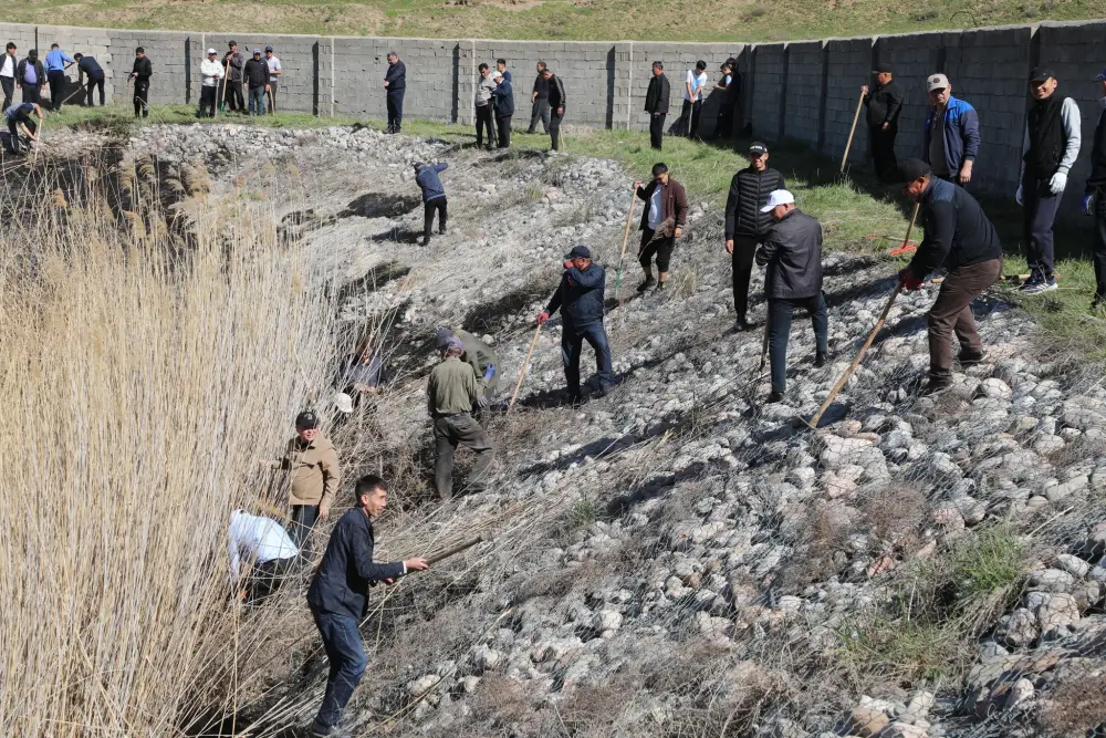 В Сарыагаше завершилась экологическая акция «Мөлдір бұлақ»: очищено 15 километров каналов и арыков {city2}