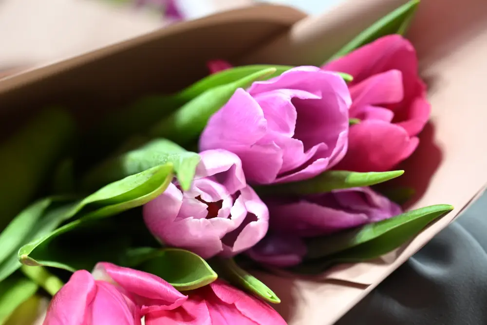 Бейбит Исабаев поздравил жительниц Жетісу с 8 Марта и вручил государственные награды (4)