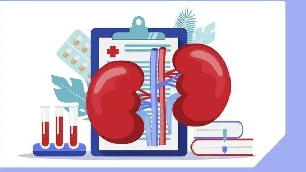 Почки на контроле: бесплатная диагностика в Караганде! {city2}