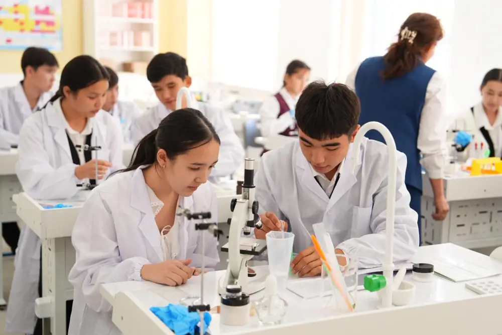 В Казахстане планируется строительство 217 новых школ для решения проблемы нехватки мест в учебных заведениях {city2}