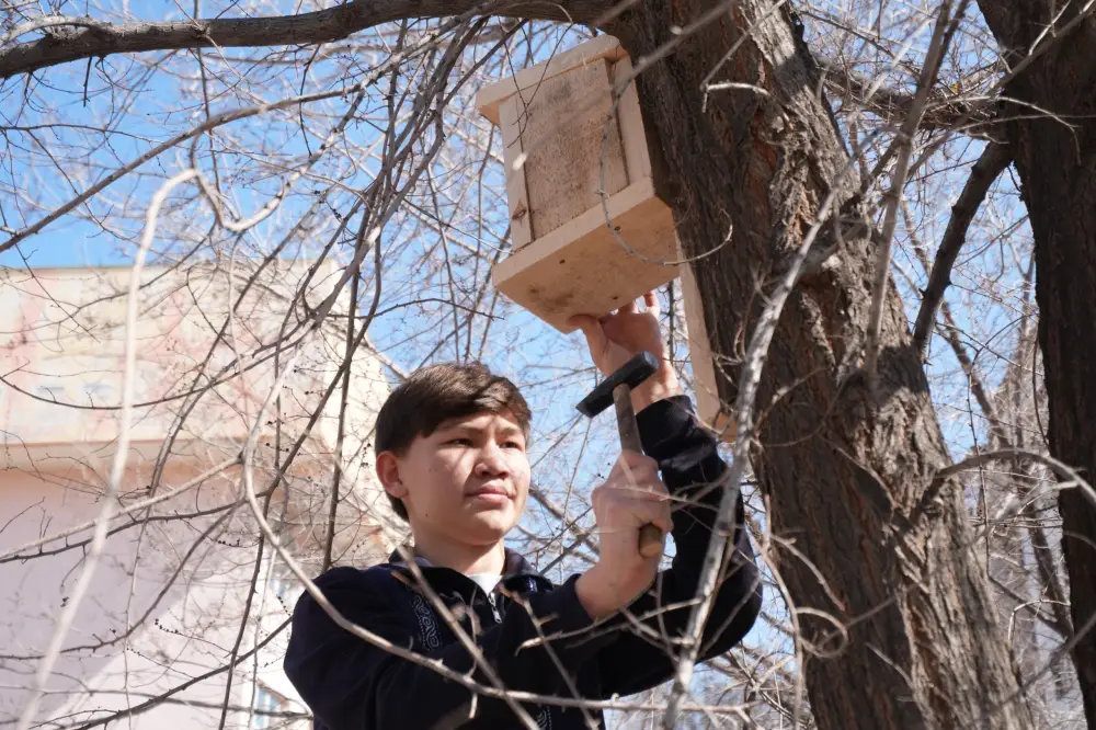 В Конаеве к Наурызу развернули зеленые крылья: акция «Табиғат қанатында – Taza Life» {city2}