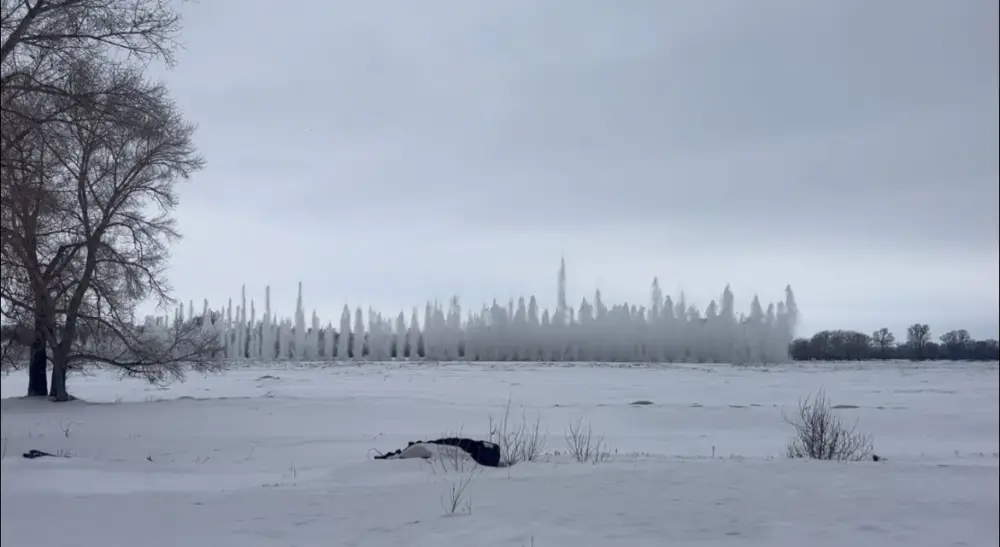 Подготовка к паводкам в регионах страны {city2}