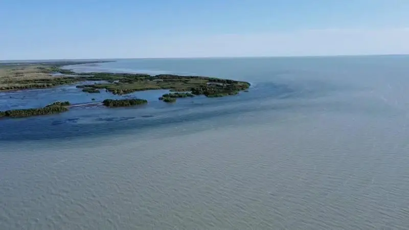 На Балхаше изучают состояние рыбных запасов {city2}