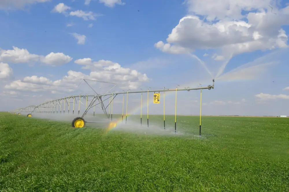 В ТУРКЕСТАНСКОЙ ОБЛАСТИ ЗА ТРИ ГОДА СОЗДАН 201 НОВЫЙ СЕЛЬСКОХОЗЯЙСТВЕННЫЙ КООПЕРАТИВ (6)