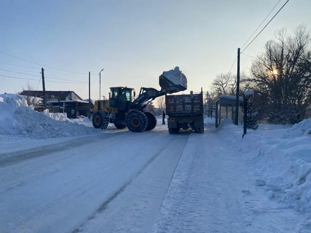 В области Абай продолжаются работы по вывозу снега и откачке талых вод (6)