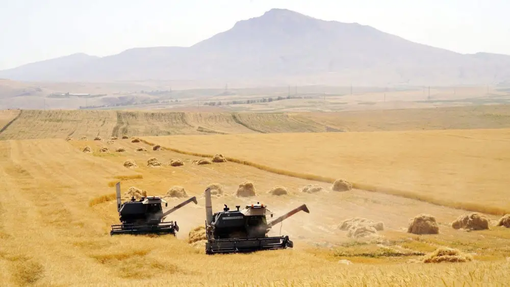 В ТУРКЕСТАНСКОЙ ОБЛАСТИ АКТИВНО ВЕДЕТСЯ ВЕСЕННЯЯ ПОСЕВНАЯ КАМПАНИЯ (3)