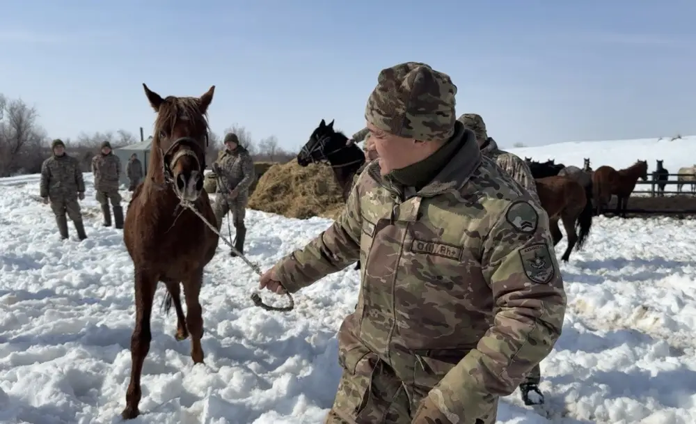 Укрепление взаимодействия конных подразделений в горно-егерском полку: подготовка к вызовам горной местности {city2}