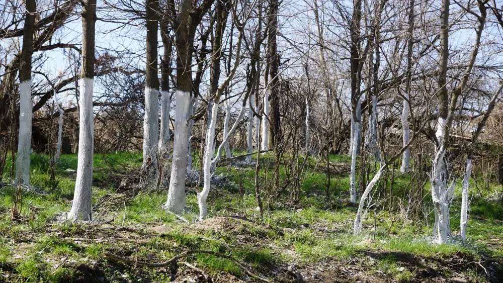 ТУРКЕСТАН: В ОРДАБАСИНСКОМ РАЙОНЕ ПРОВЕДЕН МАСШТАБНЫЙ СУББОТНИК НА ТЕРРИТОРИИ РОДНИКА «КӨЗДІ АТА» (3)