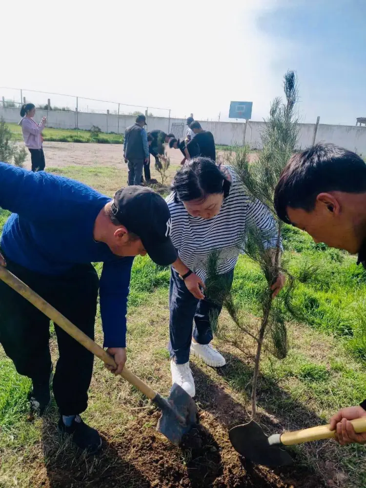 Посадка саженцев в Туркестанской области: шаг к улучшению экологии и сохранению водных ресурсов {city2}