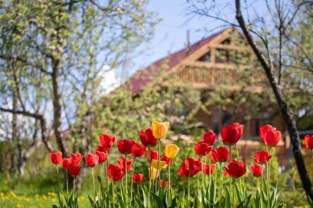 Влияние включения дачных массивов на развитие инфраструктуры Алматинской области {city2}