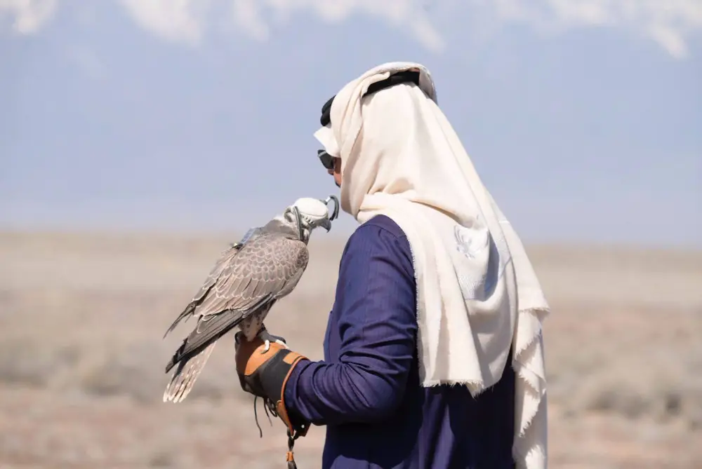 В области Жетісу состоялось мероприятие по выпуску сокола-балобана на дикую природу (2)