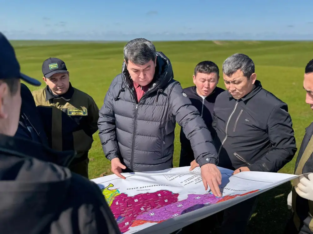 Сложная борьба с саранчой в Туркестанской области: последствия для сельского хозяйства {city2}