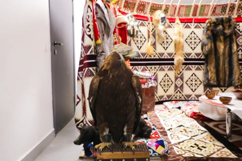 «Наурызнама-2026»: показательное выступление по национальным видам спорта состоится в Астане (6)