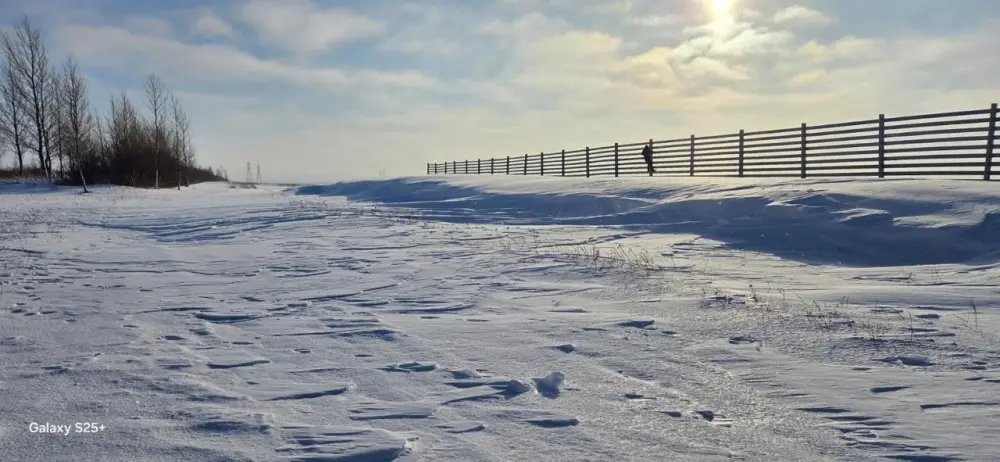 Зима без заносов: на трассе «Астана – Кокшетау» тестируют новую снегозащитную систему (5)
