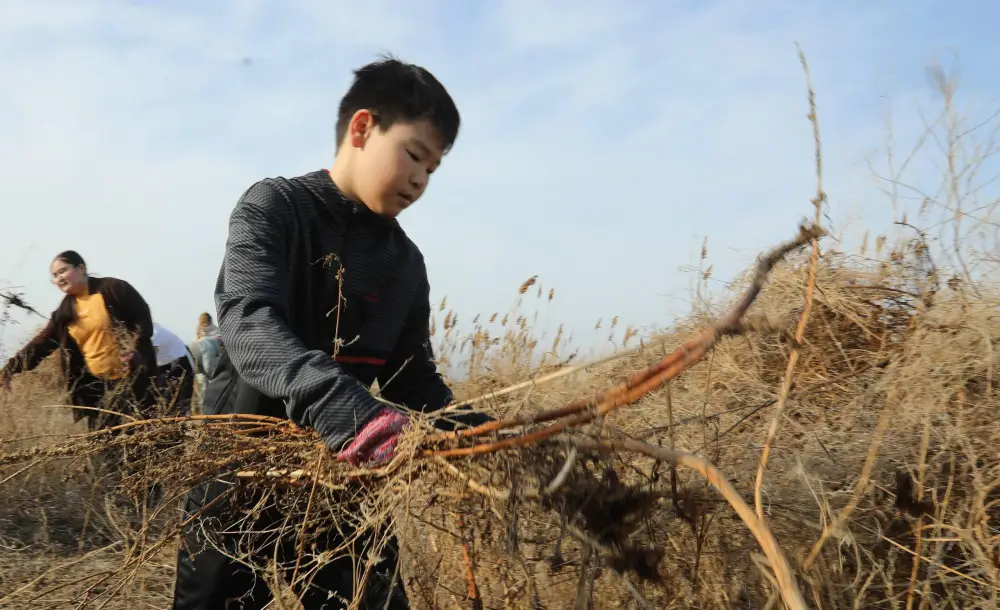 В Мангистауской области в рамках экологической акции «Тазару күні» прошёл масштабный субботник (6)