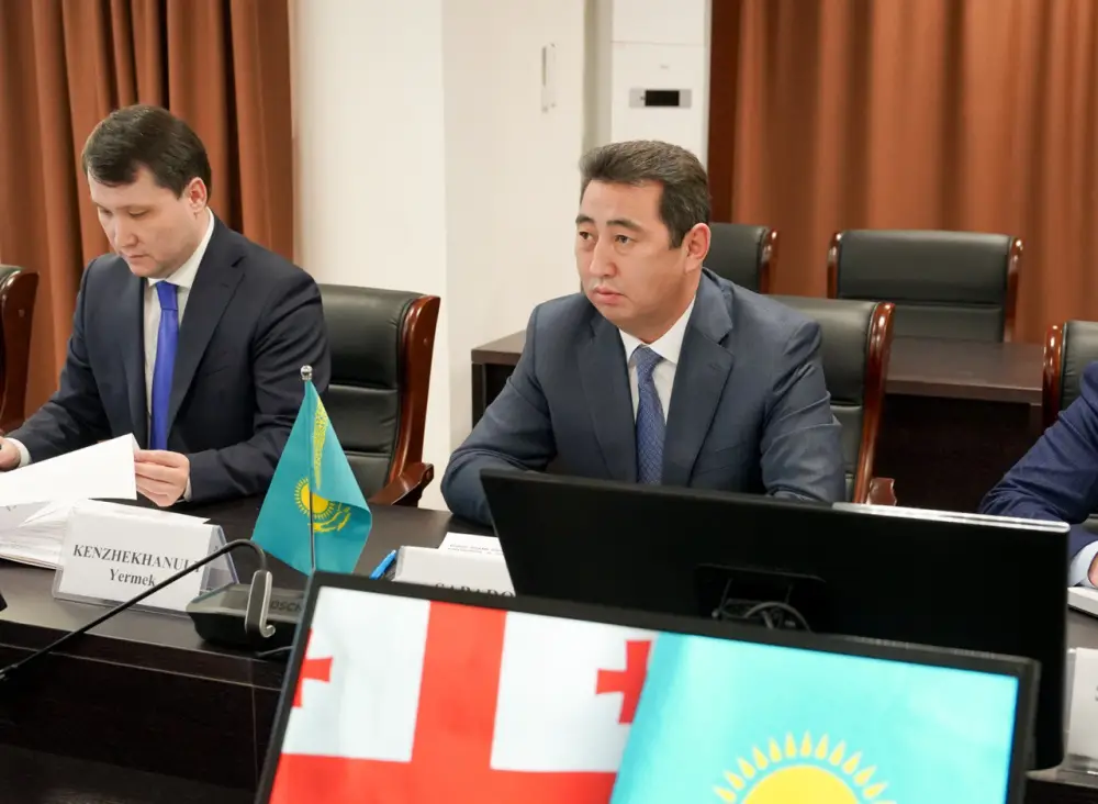 Грузия заинтересована в расширении сотрудничества с Казахстаном в сфере АПК {city2}