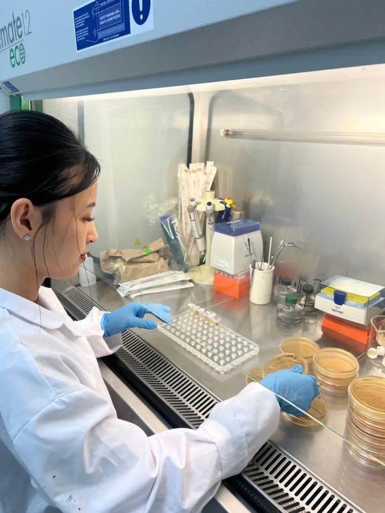 Kazakhstan Scientists Develop Plant-Based Supplement for Immune Support and Diabetes Prevention {city2}