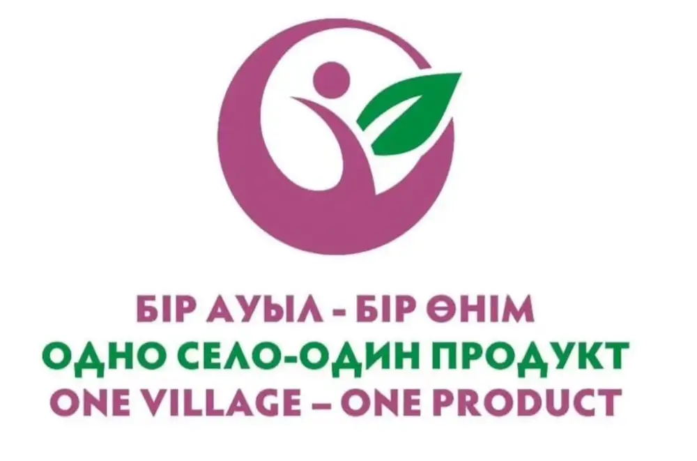 Поддержка ремесленников Карагандинской области: старт приёма заявок для участия в проекте 'Одно село — один продукт' {city2}