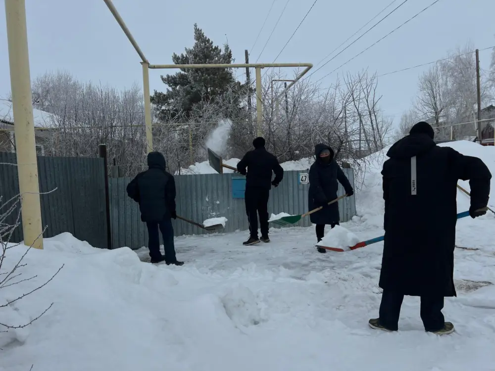 Снежный десант: волонтёры пришли на помощь пенсионерке! {city2}