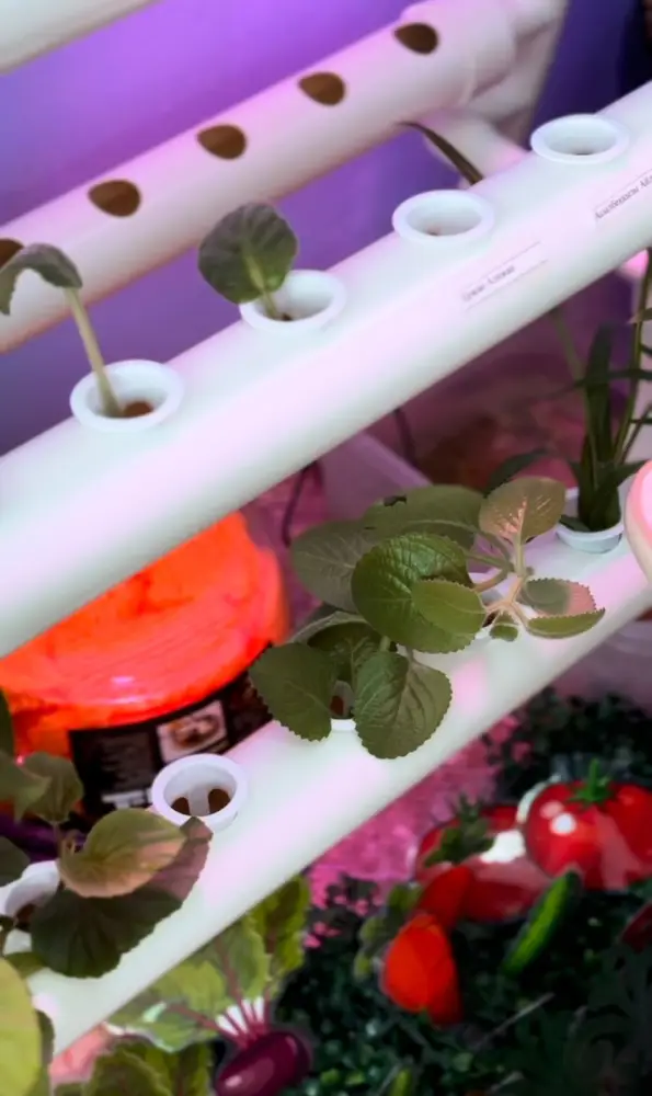 Цветы жизни: как в детском саду «Өрлеу» поддержали акцию «Таза Қазақстан» (3)