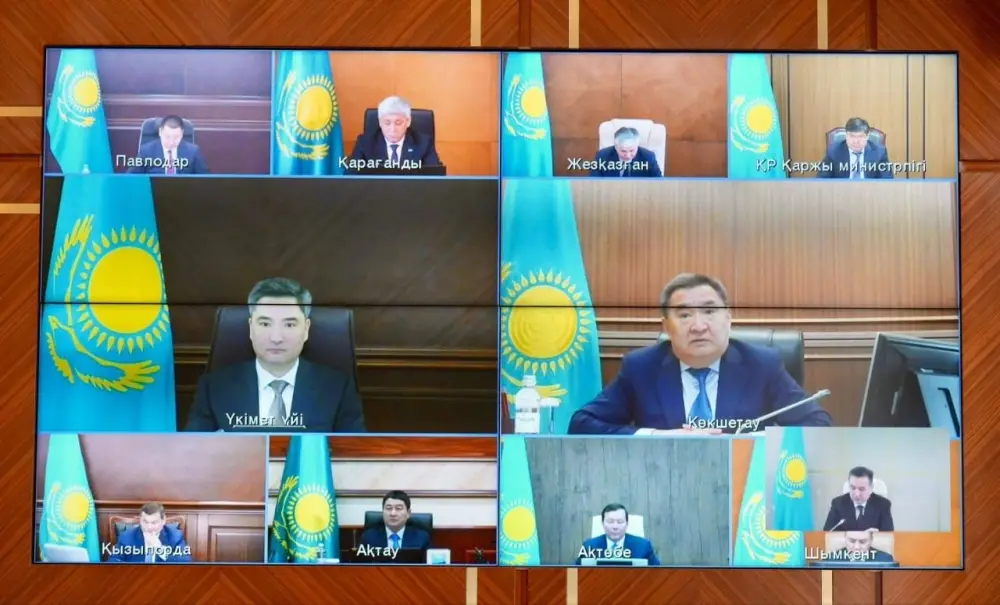 Масштабная высадка саженцев в ВКО: как это изменит экосистему региона к 2027 году {city2}