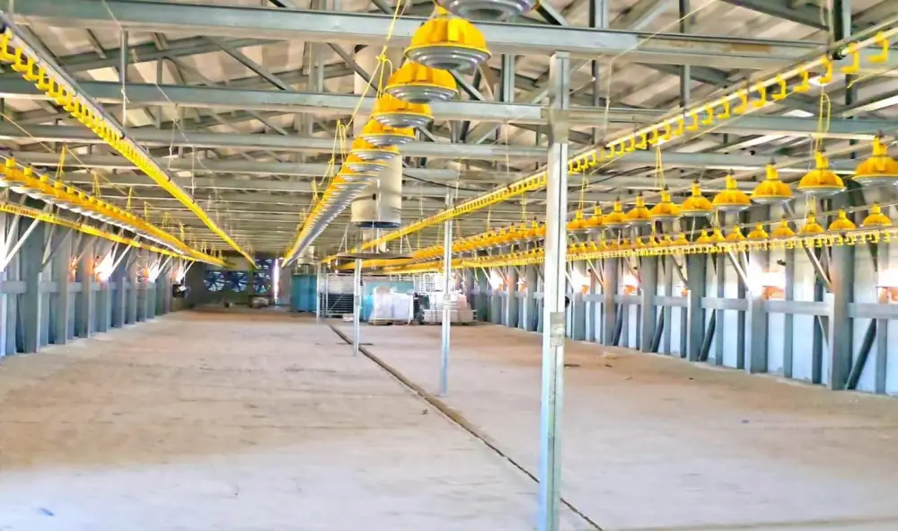 Строительство птицефабрики в Кызылординской области на 3,5 тыс тонн мяса птицы в год {city2}