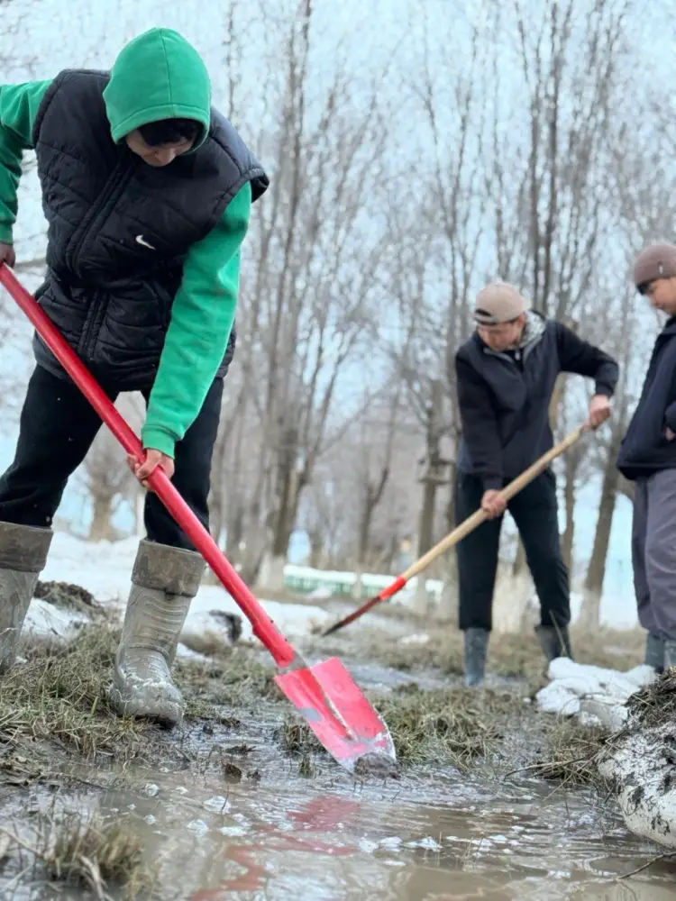 Экологическая инициатива школьников из Алгабаса приводит к образовательным грантам и активному спасению природы {city2}