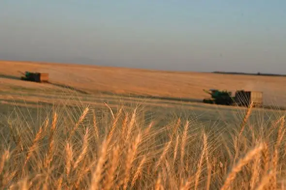 Весенние посевы в Туркестанской области активизировались {city2}