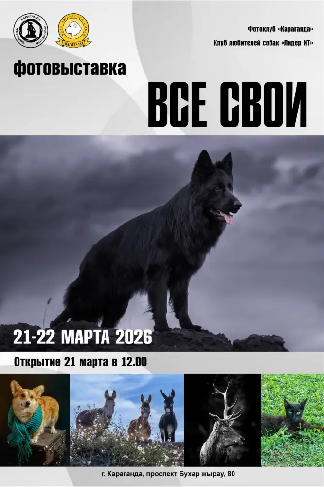 Фотовыставка и выставка собак в Караганде 21 22 марта {city2}