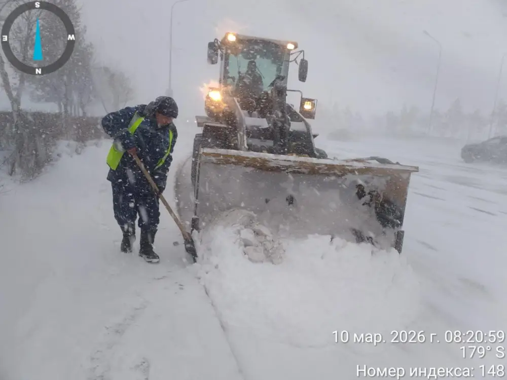 Снегопад в Астане: более 1700 единиц спецтехники задействованы в уборке снега в Астане (5)