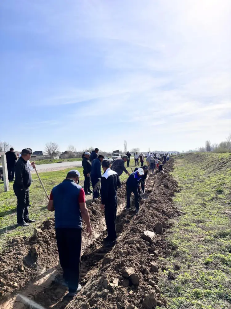 ТУРКЕСТАН: В ЖЕТЫСАЕ 500 РУК СОЗДАЛИ ЗЕЛЕНЫЙ ОАЗИС В АКЦИИ «МӨЛДІР БҰЛАҚ» {city2}