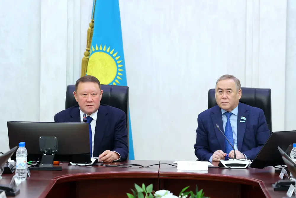 Внеочередная сессия маслихата (8)