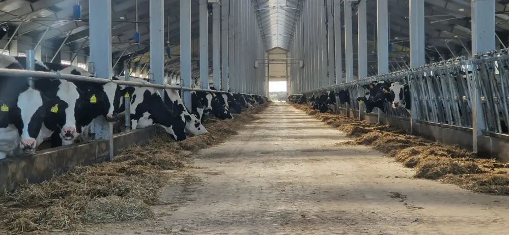 Льготное кредитование животноводства под 6%: поддержка аграриев и стимул для развития отрасли в Казахстане {city2}