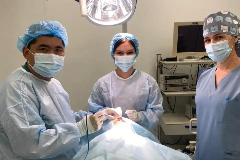 Туркестан: на волне высоких технологий в медицине {city2}