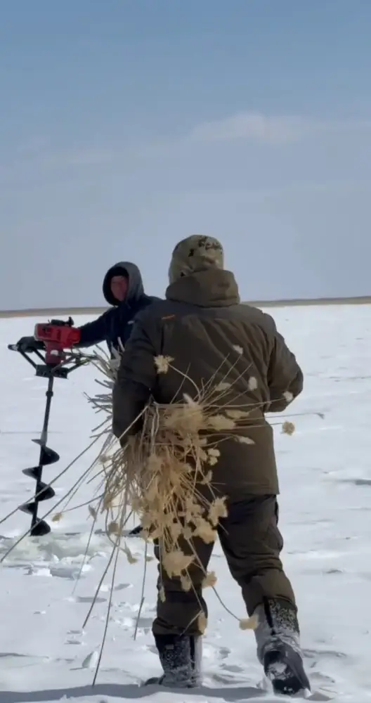 Зимняя аэрация: как спасти рыбу под льдом? {city2}