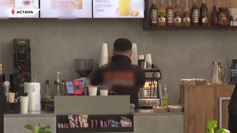 Астана: Кафе для любителей животных становятся трендом столицы Кызылорде