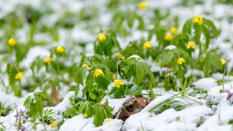Синоптики Казгидромета предупреждают о мощном циклонe, который принесет снег и дождь в Казахстан 9 марта. {city2}