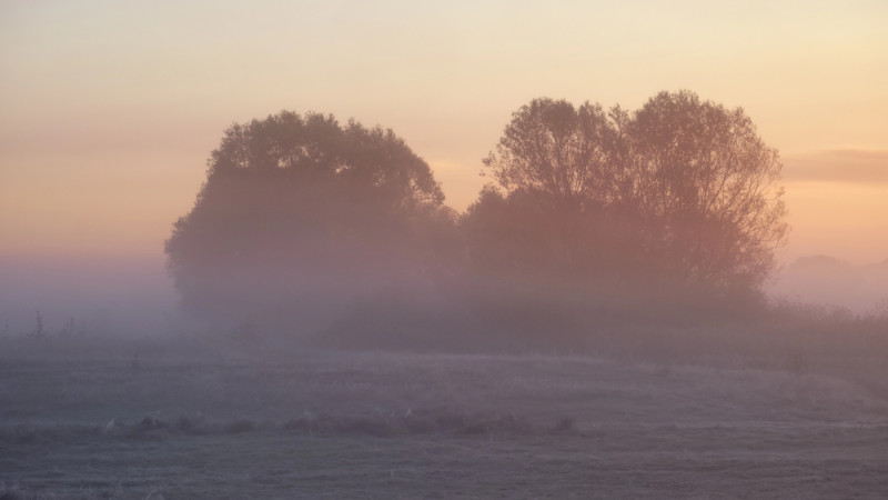 Штормовые предупреждения в Астане и 12 областях Казахстана: синоптики прогнозируют ухудшение погоды 21 марта Кызылорде