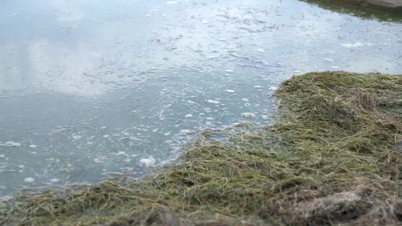 Специальная группа МЧС готова к борьбе с паводками в Казахстане {city2}