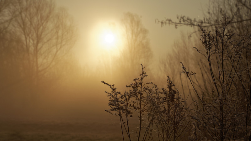 Ветер перемен: штормовые предупреждения охватили Астану, Алматы, Шымкент и регионы Казахстана Кызылорде