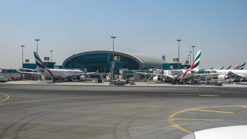 Возвращение домой: Казахстанцы, как птицы, вернувшиеся из далекого восточного гнезда {city2}