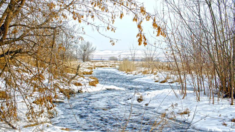 Синоптики Казгидромета прогнозируют теплую погоду до 15 градусов в Казахстане на 14, 15 и 16 марта, сообщает корреспондент Tengrinews.kz. {city2}