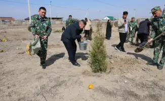 Поддержка местного сообщества через высадку деревьев в Уйгурском районе