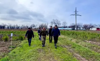 Туркестан: 35 миллионов саженцев на старте!